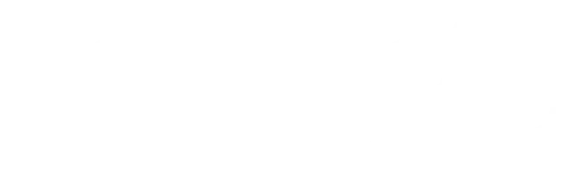 Bridge logo